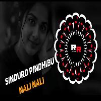 Sinduro Pindhibu Nali Nali-Edm Tapori Mix-Dj Bapi X Dj Santosh